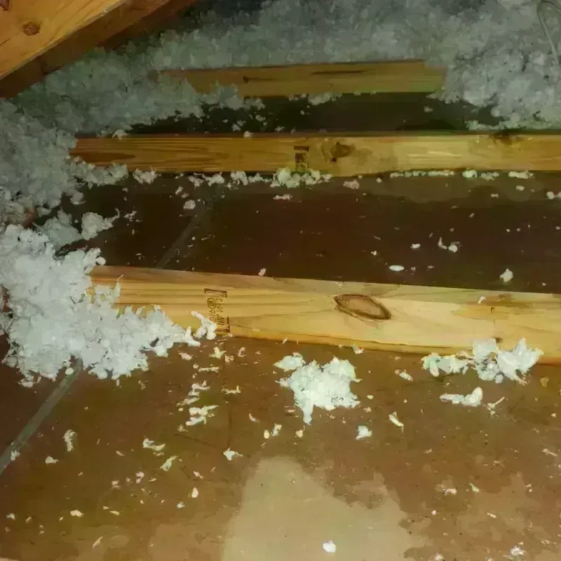 Attic Water Damage in Vassar, MI